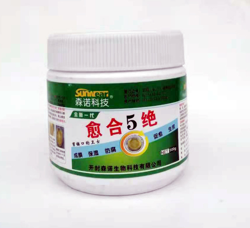 森諾愈合5絕